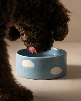Pet Bowls — menu