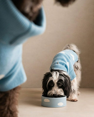 Cloud Pet Bowl 14cm 2 Pieces Set — shopify 6