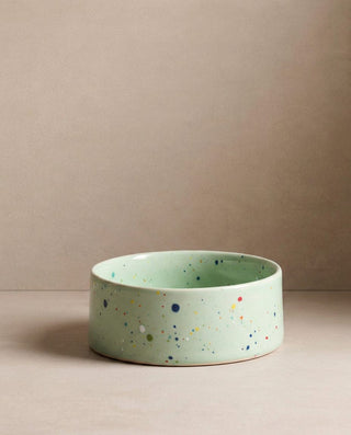 New Party Pet Bowl 14cm Set 2 Green — shopify 2
