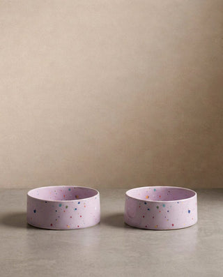 New Party Pet Bowl 14cm Set 2 Lilac — shopify 1