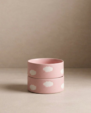Pink Cloud Pet Bowl 14cm 2 Pieces Set — shopify 1